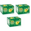 Pineapple Tea with Green Tea Hindu/ Te Verde Con Pina 20 bags - 4 Boxes