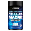 CELULAS MADRES STEM CELLS PLUS ADAPTOGENS - 180 CAPSULES