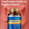 PROB_FACTS Vitamisan Probiotic 100 Billion CFU – Maximum Strength, 100 Capsules – Immune & Digestive Support – Non-GMO, Gluten-Free