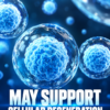 Stem Cell Plus 1000 mg – 8 Bottle Value Pack | Natural Stem Cell Support Supplement | Vitamisan