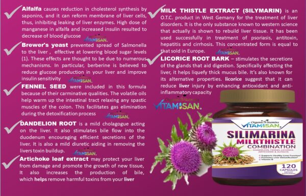Silimarina Vitamisan 120 CAPSULES VITAMISAN