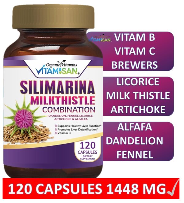 Silimarina Vitamisan 120 CAPSULES VITAMISAN