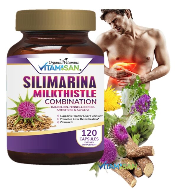 Silimarina Vitamisan 120 CAPSULES VITAMISAN