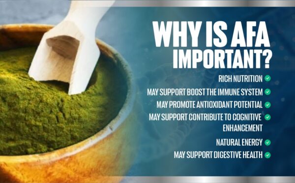 CELULAS MADRES STEM CELLS 8 BOTTLES PACK BLUE ALGAE AFA