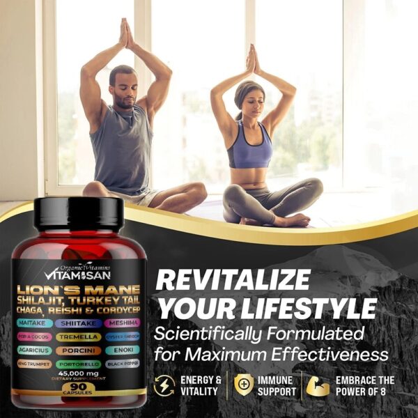 Lion Mane Mushroom Complex 45000mg with Shilajit  90 Caps USA VITAMISAN