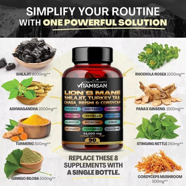 Lion Mane Mushroom Complex 45000mg with Shilajit  90 Caps USA VITAMISAN