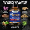 Nitric Oxide XL 3000 mg – L-Arginine & L-Citrulline for Circulation, Energy & Performance | 60 Capsules