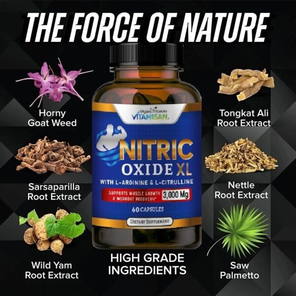 Nitric Oxide XL 3000 mg – L-Arginine & L-Citrulline for Circulation, Energy & Performance | 60 Capsules