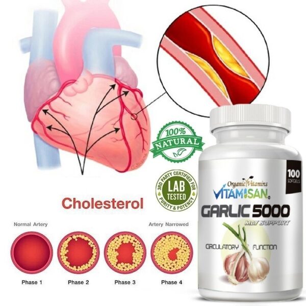 WhatsApp-Image-2025-08-01-at-1.35.07-PM.jpeg Garlic 5000 Vitamisan