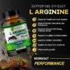L-Arginine Support Plus by Drgreen’s – Advanced Nitric Oxide Supplement for Muscle Growth, Vascularity & Faster Recovery – 3000mg Formula