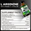L-Arginine Support Plus by Drgreen’s – Advanced Nitric Oxide Supplement for Muscle Growth, Vascularity & Faster Recovery – 3000mg Formula