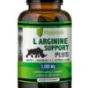 L-Arginine Support Plus by Drgreen’s – Advanced Nitric Oxide Supplement for Muscle Growth, Vascularity & Faster Recovery – 3000mg Formula