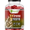 3Xtreme Testo – Men’s Performance Support for Energy, Strength & Vitality | 60 Capsules