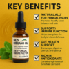 Wild Oregano Oil Drops – Natural Immune & Wellness Support