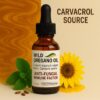 Wild Oregano Oil Drops – Natural Immune & Wellness Support