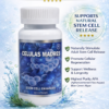 Vitamisan Celulas Madres Stem Cells Plus 60 Caps