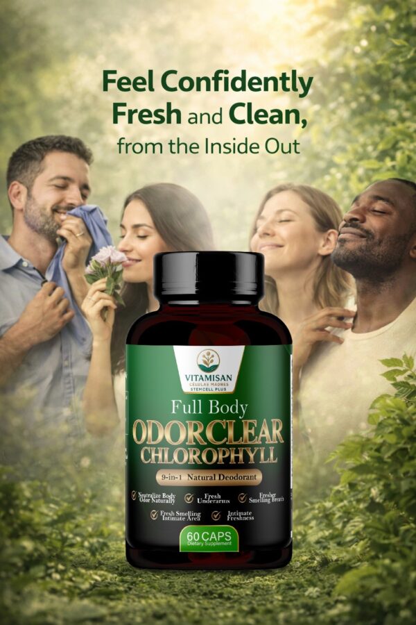 Full Body Odor Clear Chlorophyll Capsules – Natural Internal Deodorant for Breath, Underarms & Intimate Freshness – Chlorophyll Detox Formula – 60 Capsules