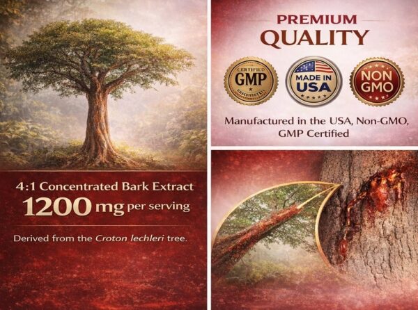 Dragon’s Blood Capsules (Croton lechleri) – Amazonian Botanical Resin for Daily Wellness