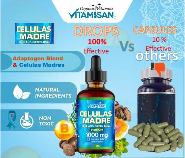 Blue Green Algae Supplement 1000mg – Adaptogenic Liquid Cellular Support