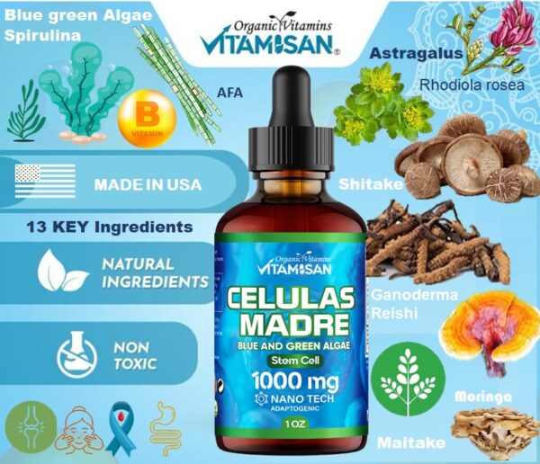 Blue Green Algae Supplement 1000mg Adaptogenic Liquid