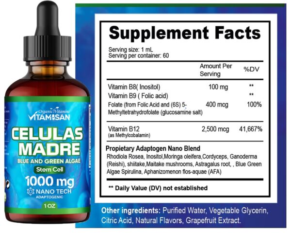 Blue Green Algae Supplement 1000mg – Adaptogenic Liquid Cellular Support