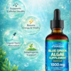 Blue Green Algae Supplement 1000mg – Adaptogenic Liquid Cellular Support