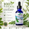 WhatsApp Image 2026-10-30 at 11.56.28 AM (5) Chanca Piedra Liquid Extract 1:3 – Herbal Drops, Glycerin-Based Formula, Kidney & Liver Support, 2 fl oz (60 mL) – Bioamazonic Apothecary